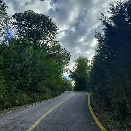 Vista Bungalov Sapanca